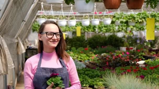 미소짓는 매력적 인 여성 이 온실에서 정원을 가꾸고 화분 식물을 들고 있는 모습. 정원가꾸기, 사람 과 꽃 재배의 개념. — 비디오