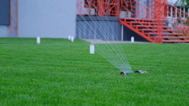 Rega de relvado - aspersor de água que trabalha na grama verde no quintal de casa — Vídeo de Stock