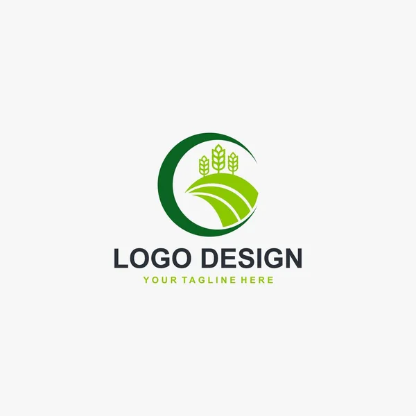 Grain Pianta Naturale Logo Design Vettore Progettazione Logo Panetteria — Vettoriale Stock