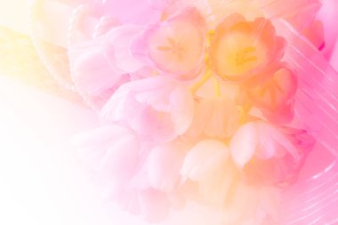 Multivitamin ve mutimineral hap, besin takviyesi. portre. Ek..