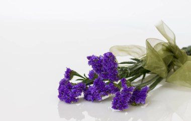 kurdele ile mor statice çiçek.