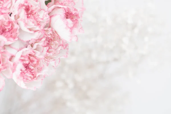 pembe karanfil çiçek.