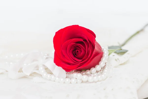 Zblízka červená růže. — Stock fotografie