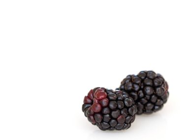 Beyaz arkaplanda böğürtlen.