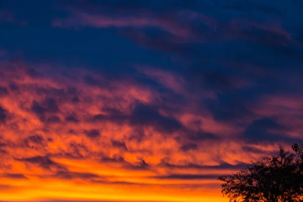 Dramatic sunset and sunrise sky with palm silhouette. — Stock Photo, Image