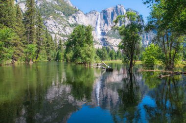 Yosemite falls, yosemite Milli Parkı.