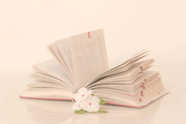 Aufgeschlagenes Buch mit Blumen am Morgen. — Stockfoto