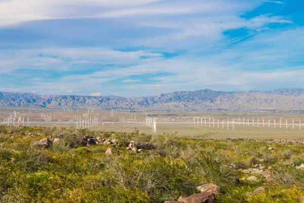 Wind turbine farm in the desert of Plam springs, California. — Stock Photo, Image