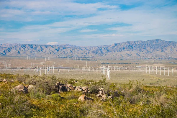 Wind turbine farm in the desert of Plam springs, California. — Stock Photo, Image