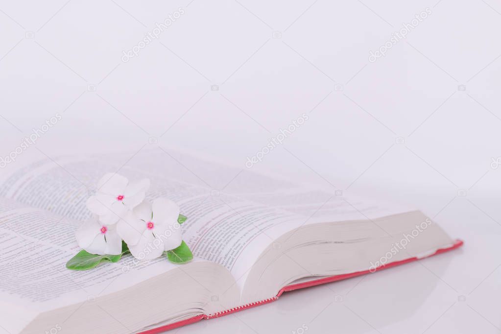 Open book with flowers in the morning.