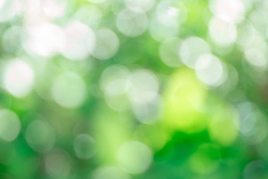 Doğa yeşil ve sarı arka plan. 