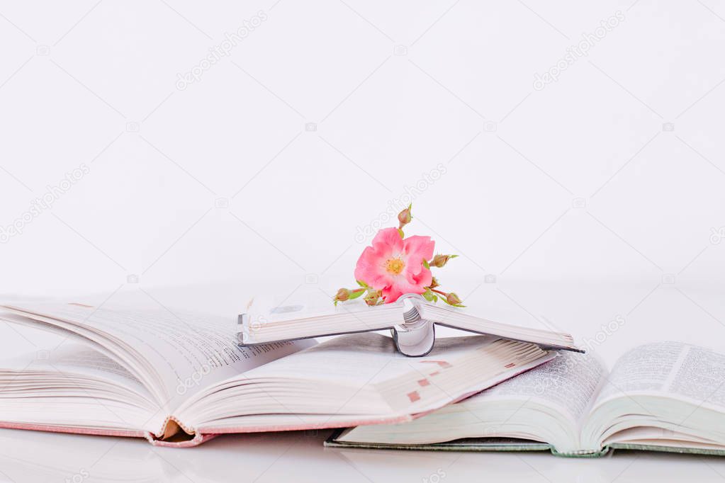 Open book with flowers in the morning.