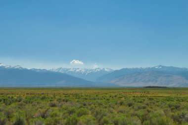 güzel bahar manzara sulu bir çayır.