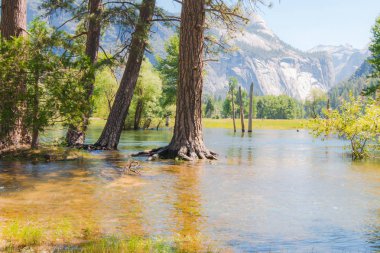 Yosemite Ulusal Parkı.