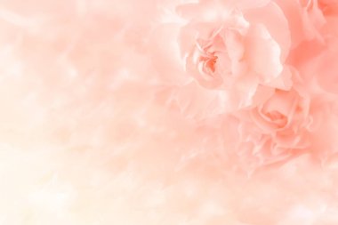  Yumuşak filtre arka plan üzerinde karanfil çiçek buketi. 