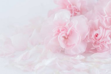 Pembe karanfil çiçek buketi yumuşak filtre arka plan üzerinde. 