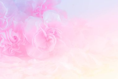 Pembe karanfil çiçek buketi yumuşak filtre arka plan üzerinde. 