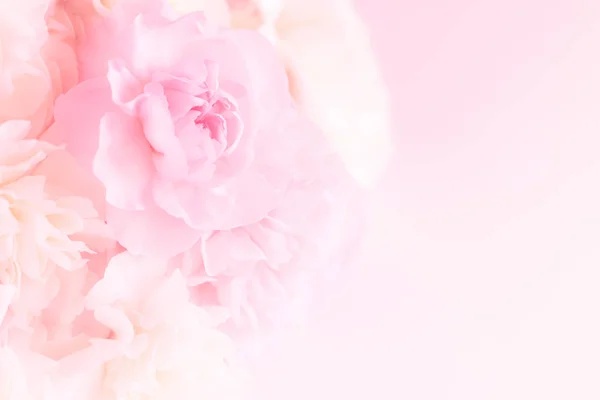 ソフト フィルターの背景にピンクのカーネーションの花ブーケ. — ストック写真