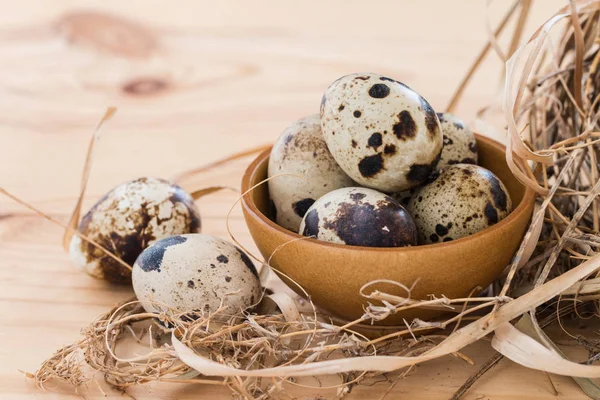 Bıldırcın yumurta bir kase içinde ve çevresinde ortaya konulan kenarlık. 