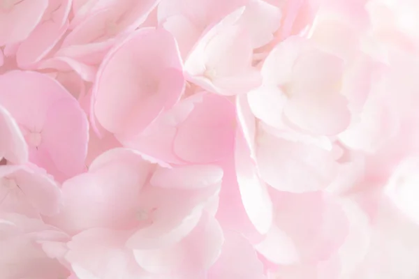 Ortanca arka plan için bir grubu kapat.