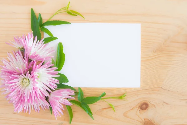 Tarjeta de felicitación blanca en blanco con querisantemo rosa — Foto de Stock