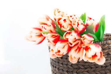 Hasır sepet içinde kırmızı lale, yakın çekim.