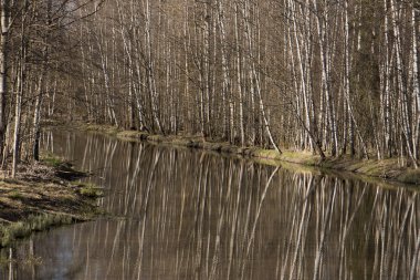Küçük bir su yolunda güneşli bahar günü