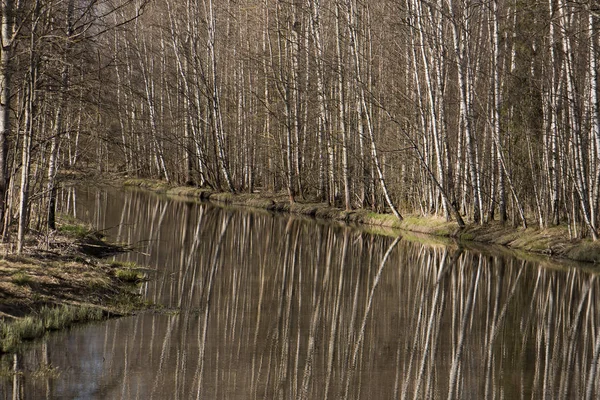 Küçük bir su yolunda güneşli bahar günü