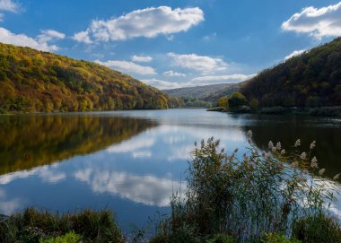 Dramatik gökyüzü yansımaları ile sonbahar ormandaki göl