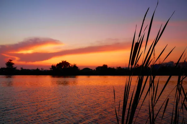 Silhouet Natuur Sunset Rivier — Stockfoto