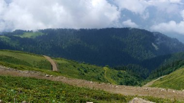 Rosa Khutor, dağlar ve çiçekler. 