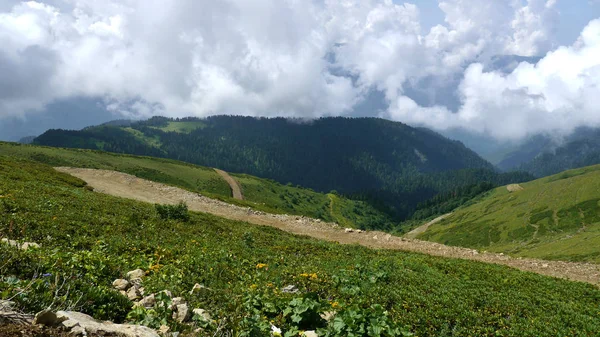 罗莎 · 德鲁日、 山脉和鲜花. — 图库照片