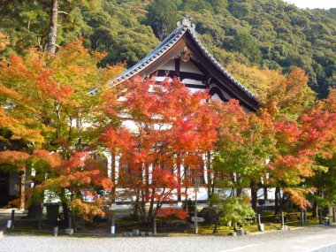 Eikando Budist tapınağı Kyoto City onun sonbahar renkleri akçaağaç için ünlüdür. Eski bir ahşap binalar geleneksel çatılar ve çok güzel bir Bahçesi 