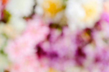 Renkli çiçek arka plan bulanık