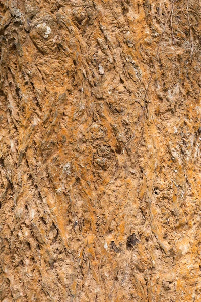 Doğal ahşap dokusu 