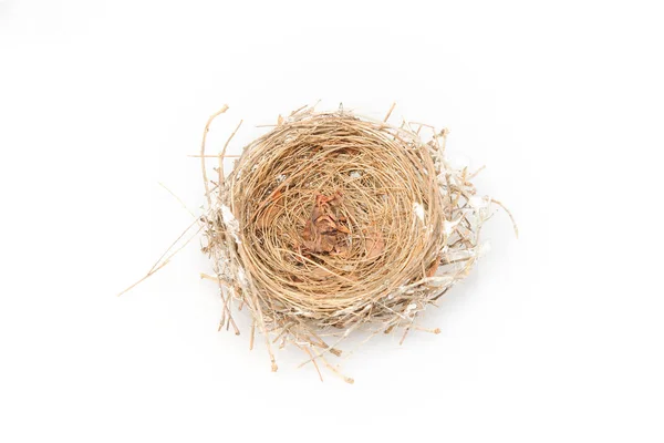 Empty Bird Nest Isolated White — Stock Photo, Image