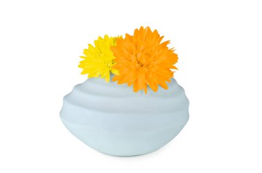 Turuncu ve sarı renkli daiseys beyaz izole bir porselen vazo içinde 