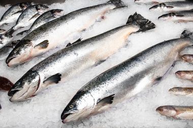 Üç büyük taze somon