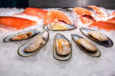 Midye görkemli bir gösteri-pencere yükselişi