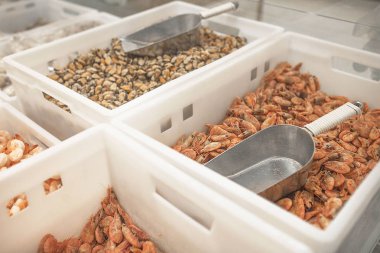 Dondurulmuş karides ile kutuları