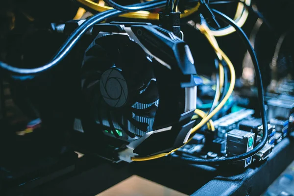 Cryptocurrency incelemesi. E-iş. Yakın çekim.