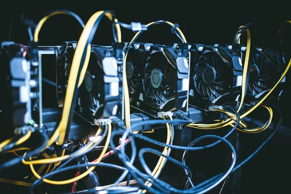 Cryptocurrency incelemesi. E-iş. Yakın çekim.