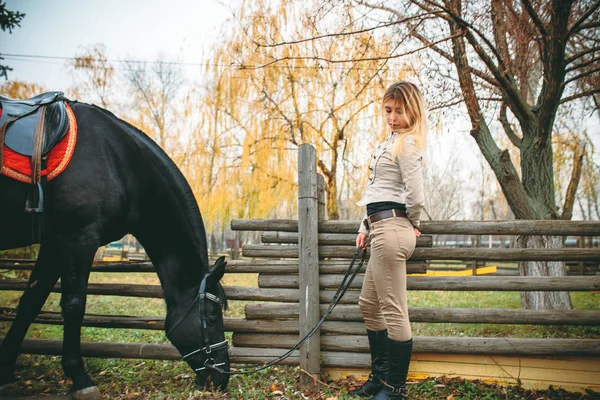 Dromerige Blonde Vrouw Met Een Paard Buurt Van Een Houten — Stockfoto