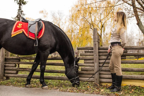 Mujer Rubia Soñadora Con Caballo Cerca Una Cerca Madera — Foto de Stock