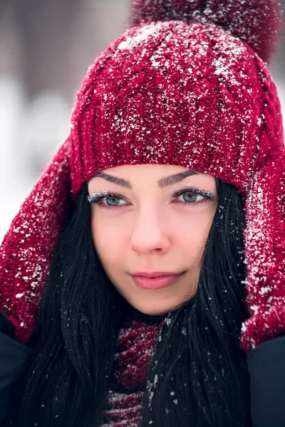 Portret van een mooi jong meisje met sneeuwvlokken op haar wimpers Stockfoto