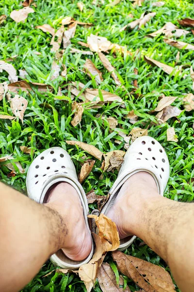 Beine im Garten — Stockfoto