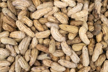 Pazarda fındık kaynatın. en üstteki görünüm