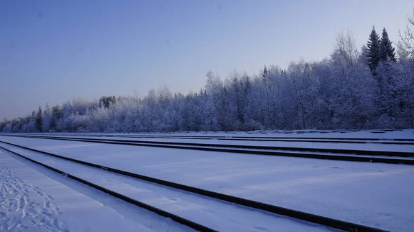 Ένας σιδηρόδρομος καλυμμένα με χιόνι το χειμώνα — Φωτογραφία Αρχείου