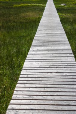 uzun ahşap köprü/yol yeşil çimenlerin üzerinde
