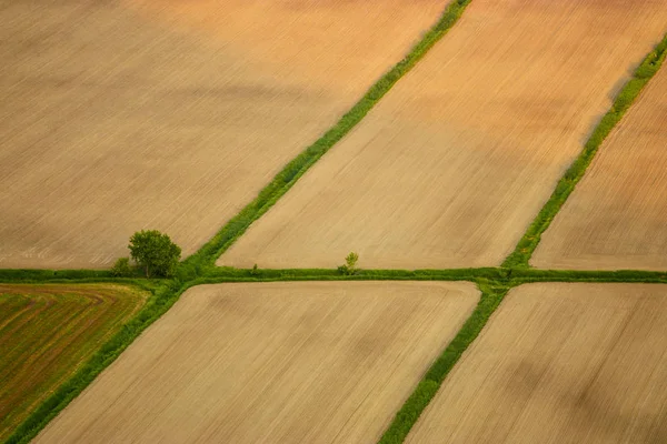Agricultura formas de campo amarelo — Fotografia de Stock